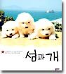 섬과 개