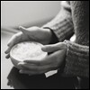 브로콜리 너마저 - 분향