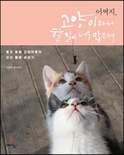 어쩌지, 고양이라서 할 일이 너무 많은데