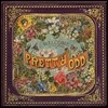 Panic! At The Disco (패닉 앳 더 디스코) - Pretty. Odd [LP]