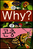 Why? 와이 곤충