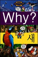 Why? 와이 새