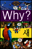 Why? 와이 새