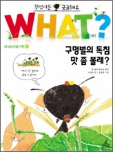 구멍벌의 독침 맛 좀 볼래?