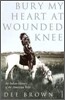 The Bury My Heart At Wounded Knee
