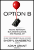 Option B