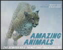 Amazing Animals: The Remarkable Things That Creatures Do