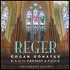 Adriano Falcioni 막스 레거: 오르간 소나타, 바흐 이름에 의한 환상곡과 푸가 (Max Reger: Organ Sonatas, B.A.C.H. Fantasy and Fugue Op.46) 아드리아노 팔치오니