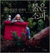 붉은 소파