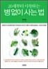20세부터 시작하는 병 없이 사는 법
