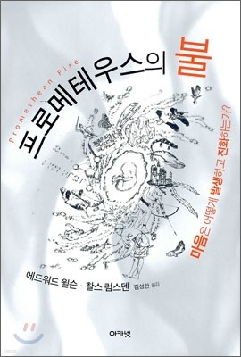 프로메테우스의 불