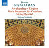 Sejong Soloists 베자드 라니바란: 현악사중주, 각성, 엘레지, 6개의 카프리스 (Behzad Ranjbaran: String Quartet, Awakening, 6 Caprices)