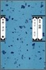 김립 시선