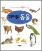귀여운 동물