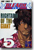 BLEACH ブリ-チ 5
