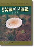 원색 한국버섯도감