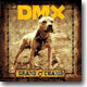 DMX - Grand Champ
