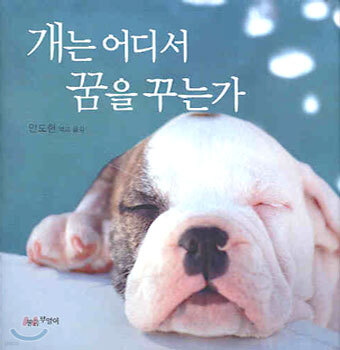 개는 어디서 꿈을 꾸는가