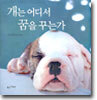 개는 어디서 꿈을 꾸는가