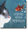 고양이는 어디서 명상하는가