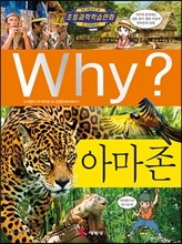 Why? 와이 아마존
