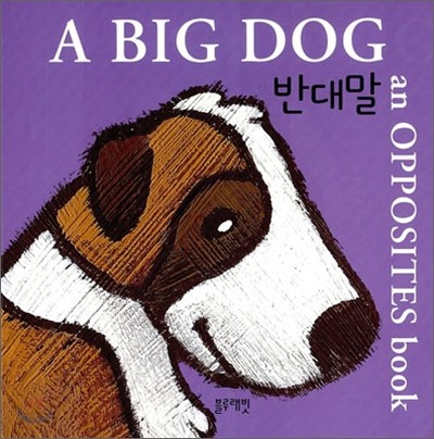 A Big Dog 반대말