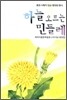 하늘 오르는 민들레