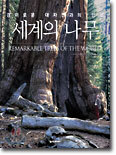 세계의 나무