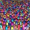Shinichi Osawa (몬도그로소) - SO2
