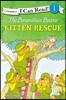 The Berenstain Bears' Kitten Rescue: Level 1