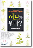 허브가 뭐야?