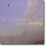 Pudding (푸딩) - If I Could Meet Again