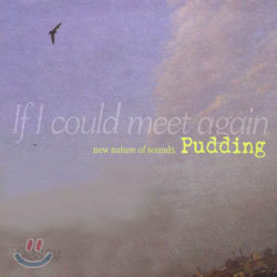 Pudding (푸딩) - If I Could Meet Again