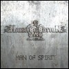 해리빅버튼 (HarryBigButton) 2집 - Man of Spirit