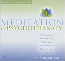Meditation and Psychotherapy: A Professional Training Course for Integrating Mindfulness Into Clinical Practice