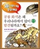 공룡 화석은 왜 우리나라에서 많이 발견될까요?