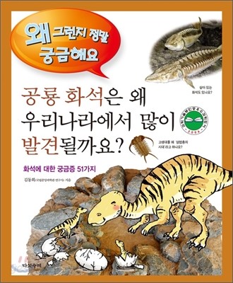 공룡 화석은 왜 우리나라에서 많이 발견될까요?