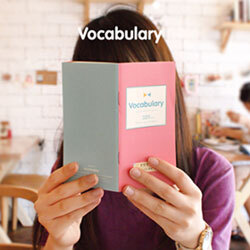 Vocabulary 320