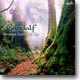 Gandalf - Between Earth And Sky