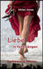 Liebe in funf Gangen: Eine Romanze am Bodensee