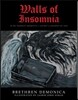 Walls of Insomnia: In My Darkest Moments, I Am but a Shadow of You