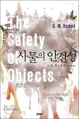 사물의 안전성
