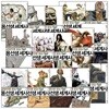 교양으로 읽는 용선생 세계사 1~15권 완간/양장본
