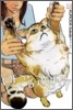 말랑고양이