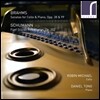 Robin Michael 브람스: 첼로 소나타 1, 2번 / 슈만: 민속 풍의 다섯 개의 작품 (Brahms: Cello Sonatas Opp.38 & 99 / Schumann: Funf Stucke im Volkston Op.102) 로빈 마이클, 다니엘 통