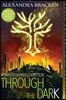 Through the Dark (Bonus Content)-A Darkest Minds Collection