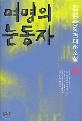 여명의 눈동자 6