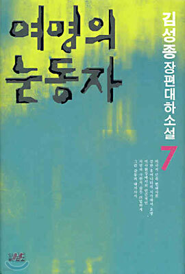 여명의 눈동자 7