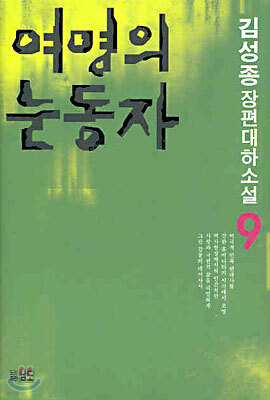 여명의 눈동자 9