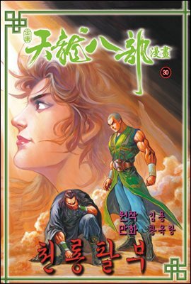 천룡팔부 30권